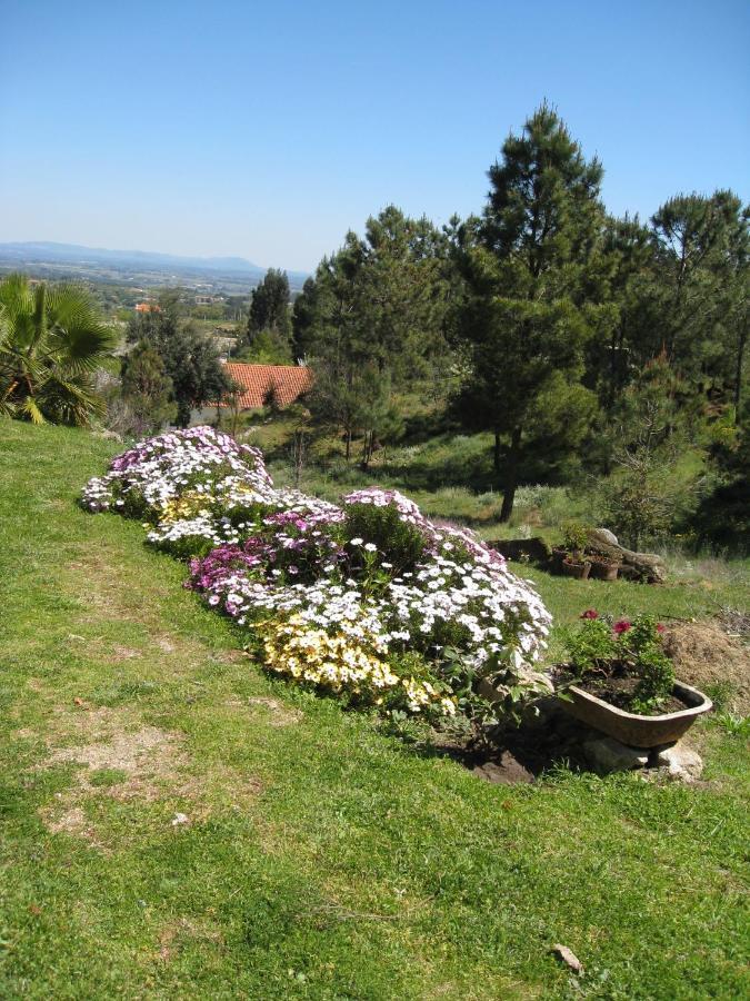 Casa "Quinta Souto Da Ordem" Bed and Breakfast Castelo Novo Eksteriør billede